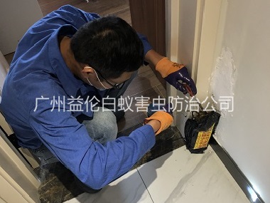 龙归住宅白蚁防治工程