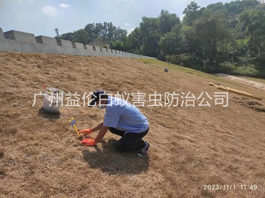 良田堤坝白蚁灭治工程