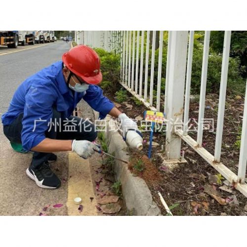 金沙洲红火蚁防治工程