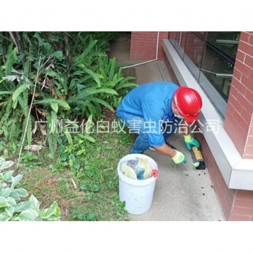 同和施药灭鼠工程