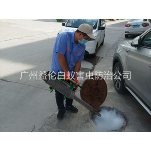金沙洲下水道热烟雾灭杀蚊虫、蟑螂工程