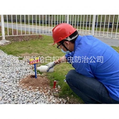 人和红火蚁防治工程