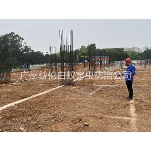 神山新建白蚁预防工程