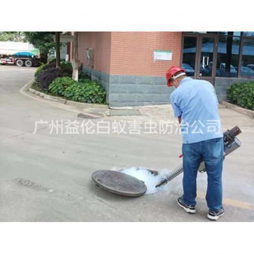 白云区治蟑螂蚊蝇工程