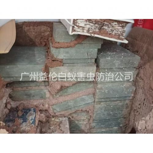 竹料防治白蚁危害工程